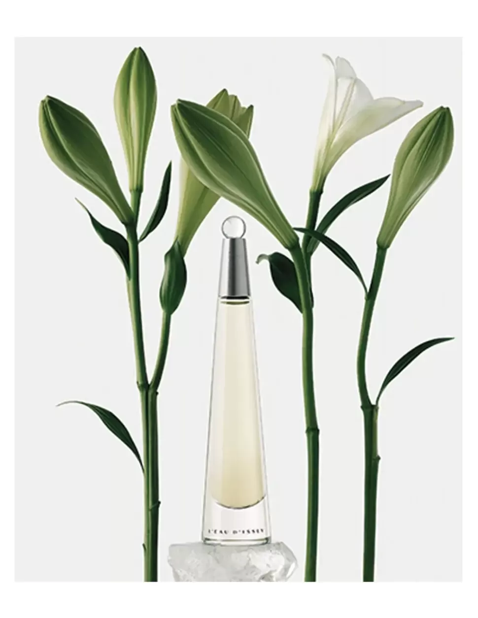 ISSEY MIYAKE L'Eau D'Issey Edt Shop