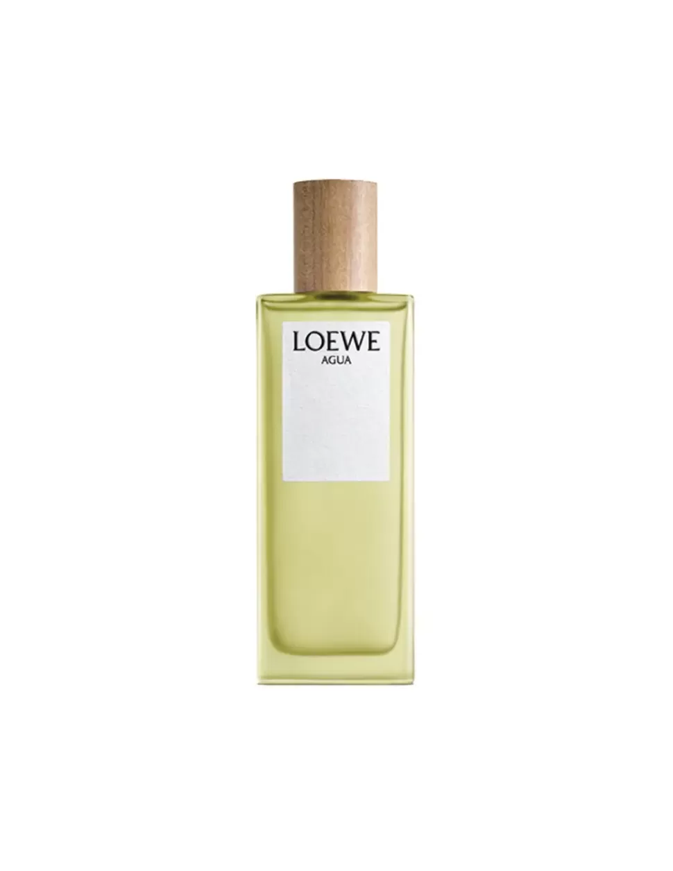 LOEWE Agua Edt Store