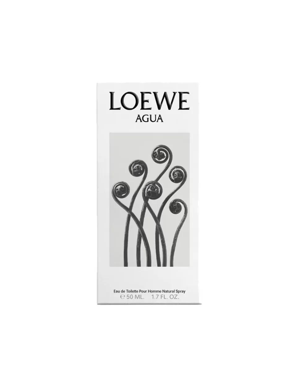 LOEWE Agua Edt Store